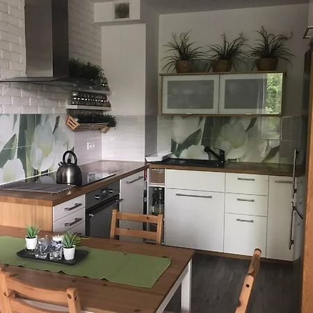 Apartment In Green Area ヴロツワフ エクステリア 写真