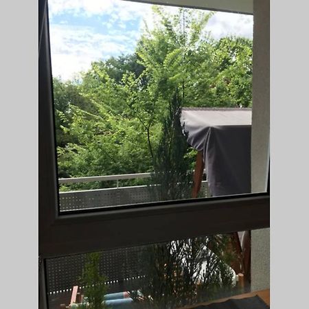 Apartment In Green Area ヴロツワフ エクステリア 写真