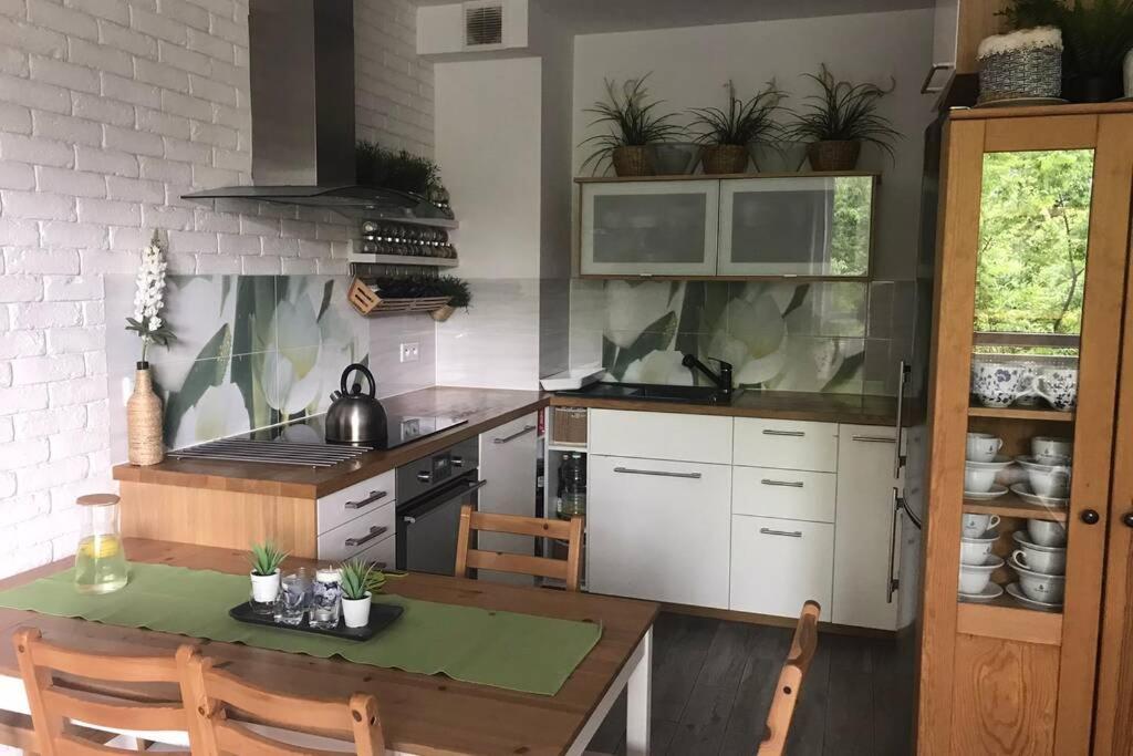 Apartment In Green Area ヴロツワフ エクステリア 写真